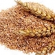 قیمت سبوس برنج دامی